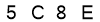 salt-0E1C687E