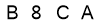 salt-1E139FF8