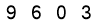 salt-95C01498
